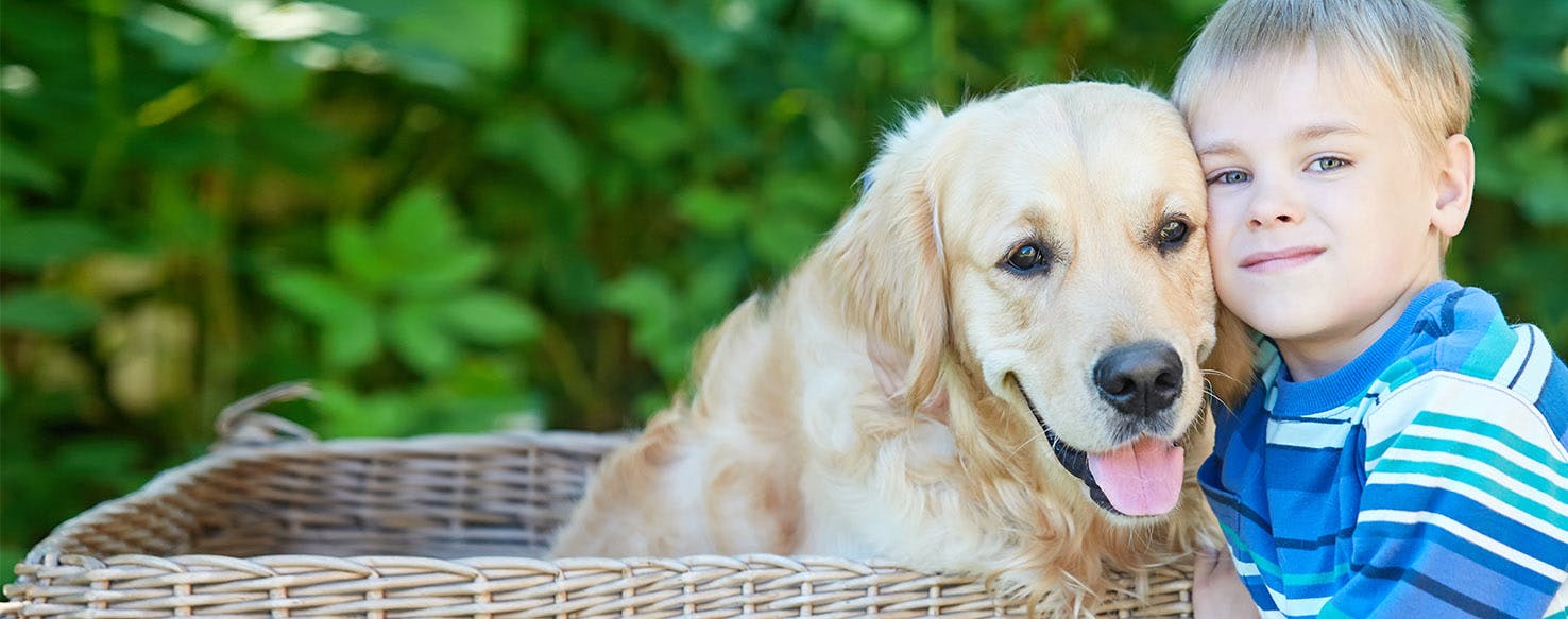 Can Dogs Recognize Human Family Members?